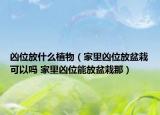 兇位放什么植物（家里兇位放盆栽可以嗎 家里兇位能放盆栽那）