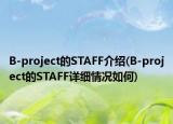 B-project的STAFF介紹(B-project的STAFF詳細(xì)情況如何)
