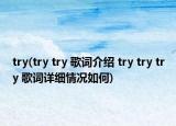 try(try try 歌詞介紹 try try try 歌詞詳細(xì)情況如何)