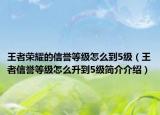 王者榮耀的信譽(yù)等級(jí)怎么到5級(jí)（王者信譽(yù)等級(jí)怎么升到5級(jí)簡(jiǎn)介介紹）