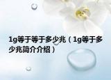 1g等于等于多少兆（1g等于多少兆簡介介紹）