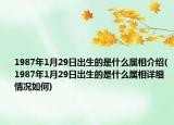 1987年1月29日出生的是什么屬相介紹(1987年1月29日出生的是什么屬相詳細(xì)情況如何)