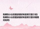 有哪些小眾但是卻很好聽(tīng)的英文歌介紹(有哪些小眾但是卻很好聽(tīng)的英文歌詳細(xì)情況如何)