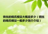 鐵絲的楊氏模量大概是多少（鋼絲的楊氏模量一般多少簡介介紹）