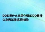 DDD是什么意思介紹(DDD是什么意思詳細(xì)情況如何)