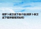 胡蘿卜保衛(wèi)戰(zhàn)下載介紹(胡蘿卜保衛(wèi)戰(zhàn)下載詳細情況如何)