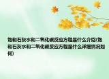 飽和石灰水和二氧化碳反應(yīng)方程是什么介紹(飽和石灰水和二氧化碳反應(yīng)方程是什么詳細(xì)情況如何)