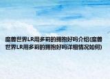 魔獸世界LR用多莉的擁抱好嗎介紹(魔獸世界LR用多莉的擁抱好嗎詳細情況如何)
