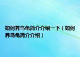 如何養(yǎng)烏龜簡(jiǎn)介介紹一下（如何養(yǎng)烏龜簡(jiǎn)介介紹）