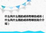 什么風(fēng)什么雨的成語(yǔ)有哪些成語(yǔ)（什么風(fēng)什么雨的成語(yǔ)有哪些簡(jiǎn)介介紹）