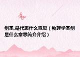 劍圣,是代表什么意思（物理學(xué)圣劍是什么意思簡介介紹）