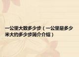 一公里大致多少步（一公里是多少米大約多少步簡介介紹）