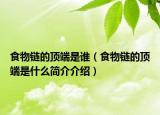 食物鏈的頂端是誰(shuí)（食物鏈的頂端是什么簡(jiǎn)介介紹）