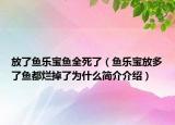 放了魚樂寶魚全死了（魚樂寶放多了魚都爛掉了為什么簡介介紹）