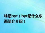 啥是byt（byt是什么東西簡介介紹）