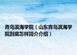 青島濱海學(xué)院（山東青島濱海學(xué)院到底怎樣簡(jiǎn)介介紹）