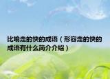 比喻走的快的成語(yǔ)（形容走的快的成語(yǔ)有什么簡(jiǎn)介介紹）
