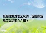 抓蝴蝶游戲怎么玩的（捉蝴蝶游戲怎么玩簡介介紹）