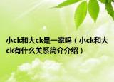 小ck和大ck是一家嗎（小ck和大ck有什么關系簡介介紹）