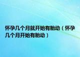 懷孕幾個(gè)月就開始有胎動（懷孕幾個(gè)月開始有胎動）