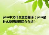 plus中文什么意思翻譯（plus是什么意思翻譯簡介介紹）