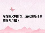 后花園又叫什么（后花園是什么梗簡介介紹）