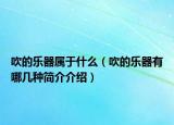 吹的樂器屬于什么（吹的樂器有哪幾種簡介介紹）