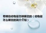 有哪些動物是怎樣睡覺的（動物是怎么睡覺的簡介介紹）