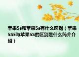 蘋(píng)果5s和蘋(píng)果5s有什么區(qū)別（蘋(píng)果5SE與蘋(píng)果5S的區(qū)別是什么簡(jiǎn)介介紹）