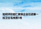 如何評價能仁家族企業(yè)引進第一控衛(wèi)古毛偉賈5號