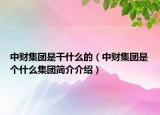 中財(cái)集團(tuán)是干什么的（中財(cái)集團(tuán)是個(gè)什么集團(tuán)簡(jiǎn)介介紹）