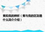 競和竟的辨析（競與竟的區(qū)別是什么簡介介紹）