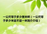 一公尺等于多少厘米?。ㄒ还叩扔诙嗌倜资遣皇且幻缀喗榻榻B）