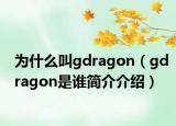 為什么叫g(shù)dragon（gdragon是誰(shuí)簡(jiǎn)介介紹）