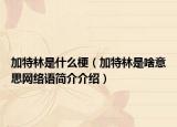 加特林是什么梗（加特林是啥意思網(wǎng)絡(luò)語簡介介紹）