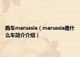 跑車marussia（marussia是什么車簡(jiǎn)介介紹）