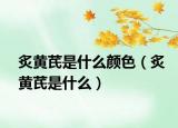 炙黃芪是什么顏色（炙黃芪是什么）