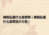 豬剛鬣是什么意思?。ㄘi剛鬣是什么意思簡(jiǎn)介介紹）