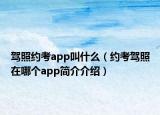 駕照約考app叫什么（約考駕照在哪個app簡介介紹）