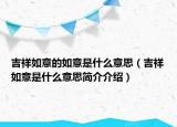 吉祥如意的如意是什么意思（吉祥如意是什么意思簡介介紹）