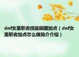 dnf女圣職者技能刷圖加點（dnf女圣職者加點怎么做簡介介紹）