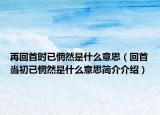 再回首時已惘然是什么意思（回首當初已惘然是什么意思簡介介紹）
