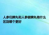 人參歸脾丸和人參健脾丸有什么區(qū)別哪個(gè)更好