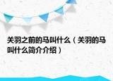 關(guān)羽之前的馬叫什么（關(guān)羽的馬叫什么簡(jiǎn)介介紹）