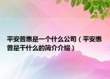 平安普惠是一個什么公司（平安惠普是干什么的簡介介紹）