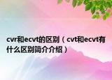 cvr和ecvt的區(qū)別（cvt和ecvt有什么區(qū)別簡(jiǎn)介介紹）