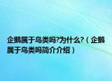 企鵝屬于鳥類嗎?為什么?（企鵝屬于鳥類嗎簡介介紹）