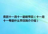 農(nóng)歷十一月十一是啥節(jié)日（十一月十一號是什么節(jié)日簡介介紹）