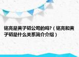 銘亮是黃子韜公司的嗎?（銘亮和黃子韜是什么關系簡介介紹）