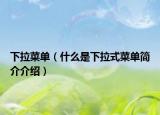 下拉菜單（什么是下拉式菜單簡介介紹）